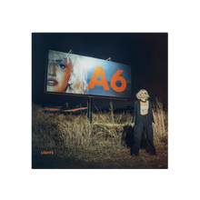 Load image into Gallery viewer, A6 Vinyl - Orange Crush